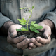 Illustration for article titled GMOs are one solution to an ancient puzzle